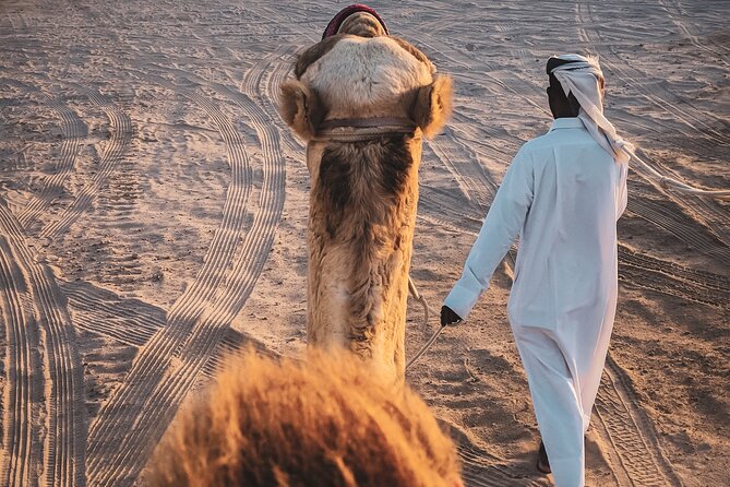 Doha Overnight Desert Safari dinner/breakfast included - Dune bashing brings the adrenaline