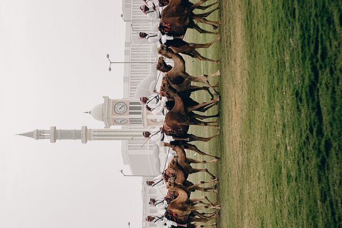 Doha: Private City Tour - Katara Cultural Village: a full hour for Qatar’s public culture