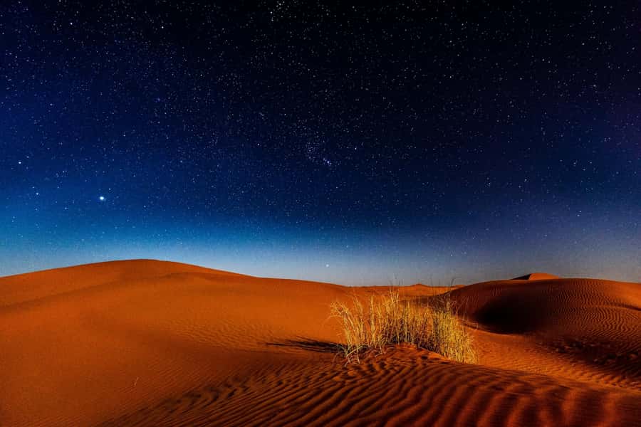 Doha: Private Desert Safari at Night with Stargazing - Why this four-hour trip works so well