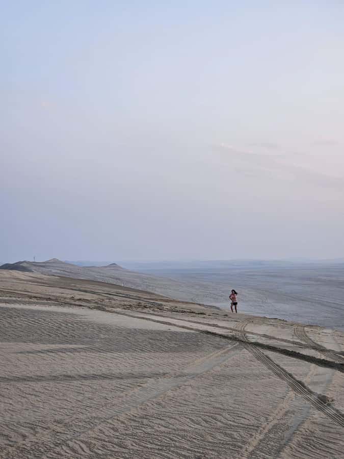 Doha:Private Desert Safari, Falcon, Sandboarding,inland sea - How the $71 price holds up