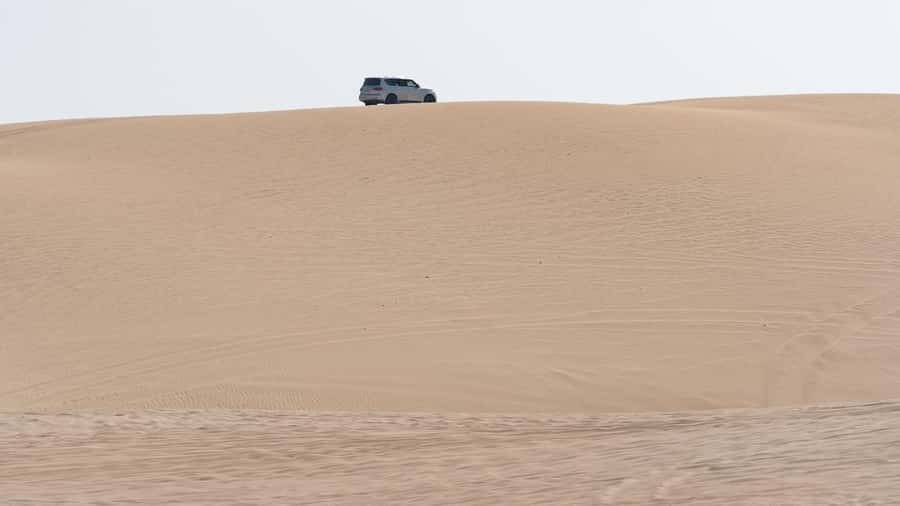 Doha Private Desert Safari, inland sea, sand boarding - Sealine Beach: tea, camels, and a useful first stop