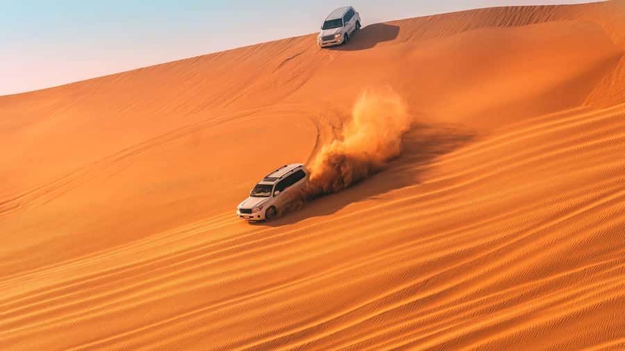 Doha : Private Desert Safari With Camel Ride & Sand Boarding - Who should book this desert safari?