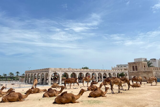 Doha Private Guided City Tour With Airport Transfer - Starting beside the Arabian Gulf at the Corniche