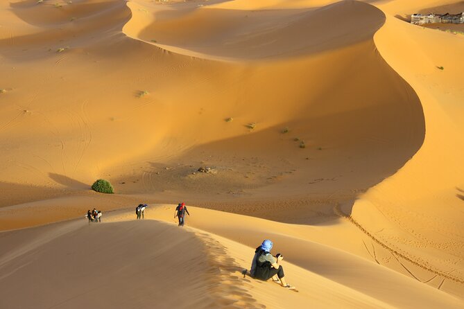 Doha Private Half-Day Guided Desert Safari Tour - Sealine Beach: Tea, Camels, and the Tire Deflation Ritual