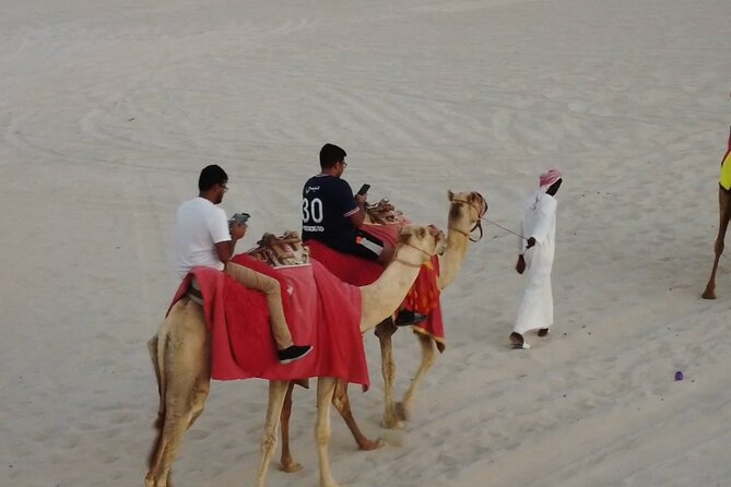 Doha-Private half day safari Sunrise/Sunset - Sealine Beach, where the sand meets the sea