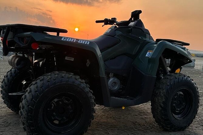 Doha-Private half day safari Sunrise/Sunset - Camel rides and the slower side of the desert