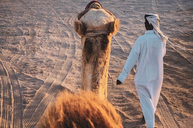 Doha-Private Half Day Safari with Horse Ride/Camel Ride/sandboard - Is $160 per person a fair price?