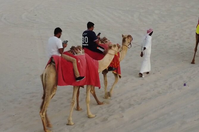 Doha-Private Half Day Safari with Horse Ride/Camel Ride/sandboard - Pickup from Doha and the private car