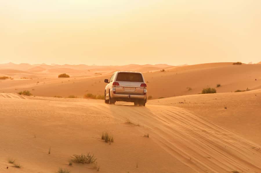 Doha: Private NIGHT desert safari with free camel ride - The guides shape the evening