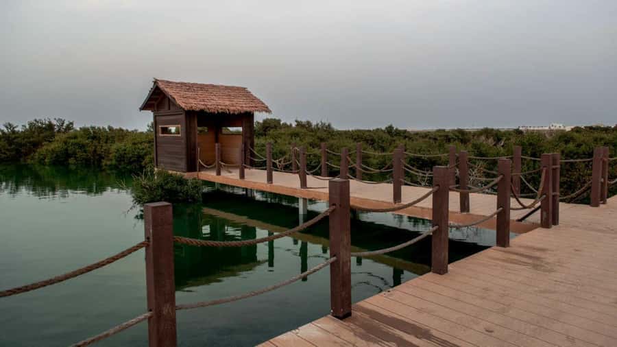 Doha : Private North of Qatar Tour, Zubara Fort & Mangroves - Who should book this northern Qatar tour?
