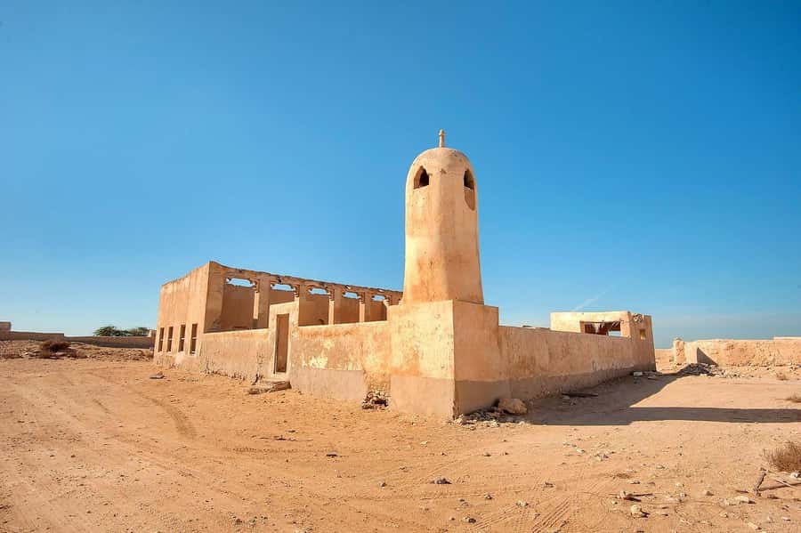 Doha : Private North of Qatar Tour, Zubara Fort & Mangroves - Al Thakira mangroves and Purple Island
