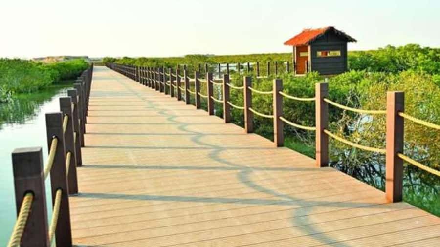 Doha : Private North of Qatar Tour, Zubara Fort & Mangroves - How much value do you get for $64?