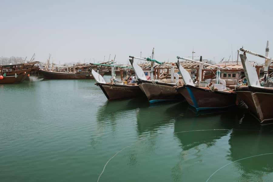 Doha : Private North of Qatar Tour, Zubara Fort & Mangroves - The guides and the quality of the day