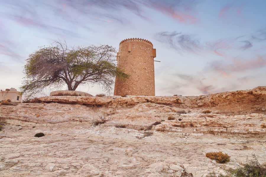 Doha : Private North of Qatar Tour, Zubara Fort & Mangroves - Al Khor harbor and Qatar’s northern coast