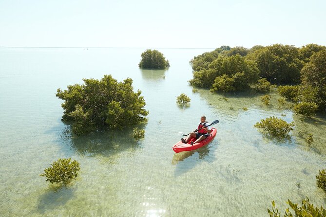 Doha Private North Qatar Tour, Mangroves and Al Zubarah Fort - Al Jumail, a village left behind