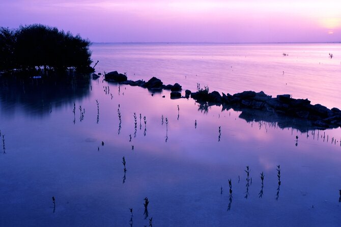 Doha Private North Qatar Tour, Mangroves and Al Zubarah Fort - Al Thakhira Beach and the calmer side of Al Khor
