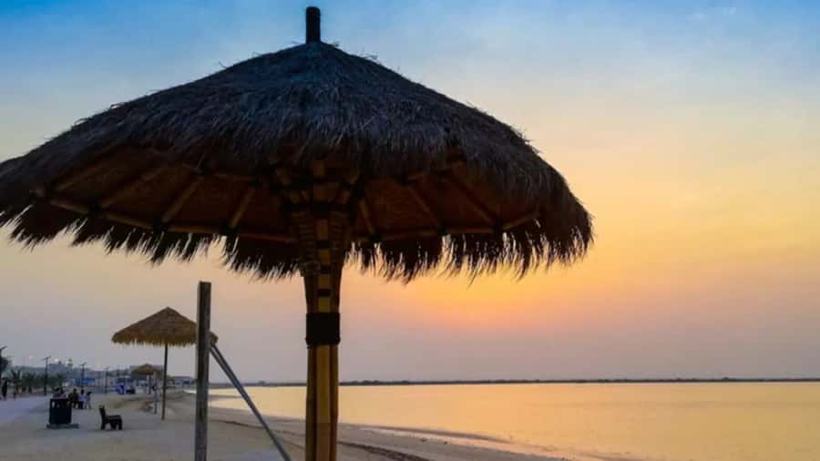 Doha: Private North Qatar Tour, Mangroves, & Zubara Fort - Key points before you book