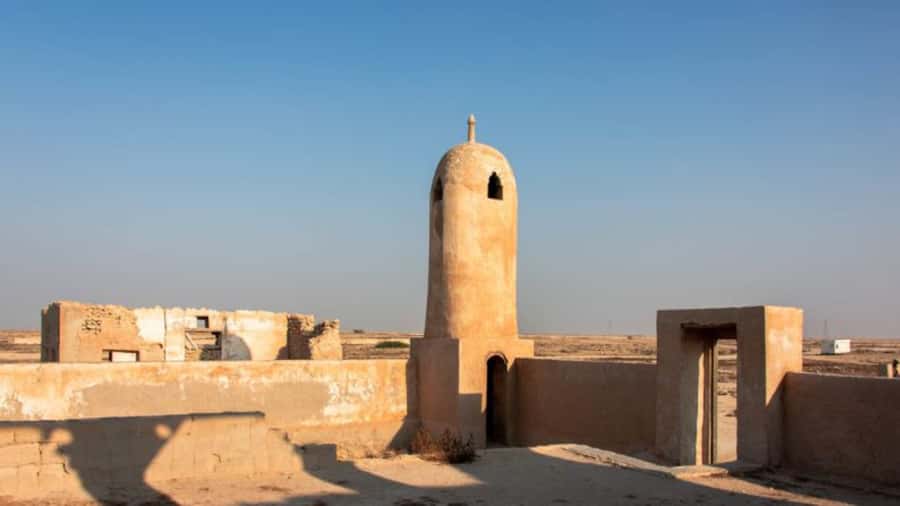 Doha: Private North Qatar Tour, Mangroves, & Zubara Fort - Al-Thakira mangroves and Purple Island