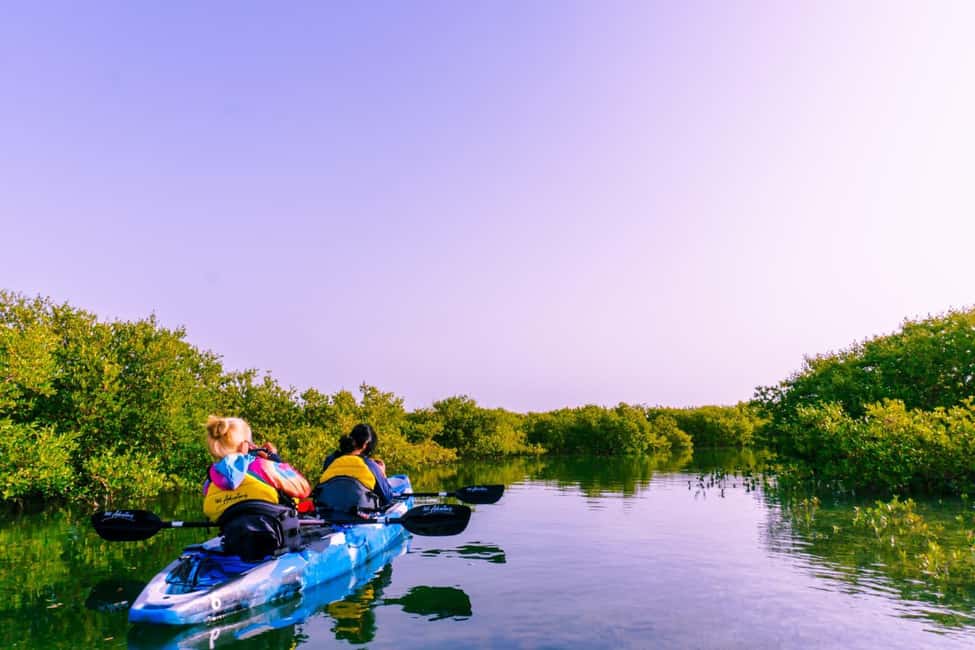 Doha: Private Purple Island Mangroves Kayaking Adventure - From Doha to Al Khor in 45 minutes