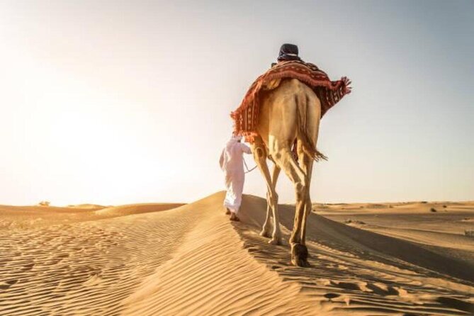 Doha Qatar ATV Quad Bike Buggy Desert Adventure and Camel Ride - Khor Al Adaid, where sand meets Gulf water