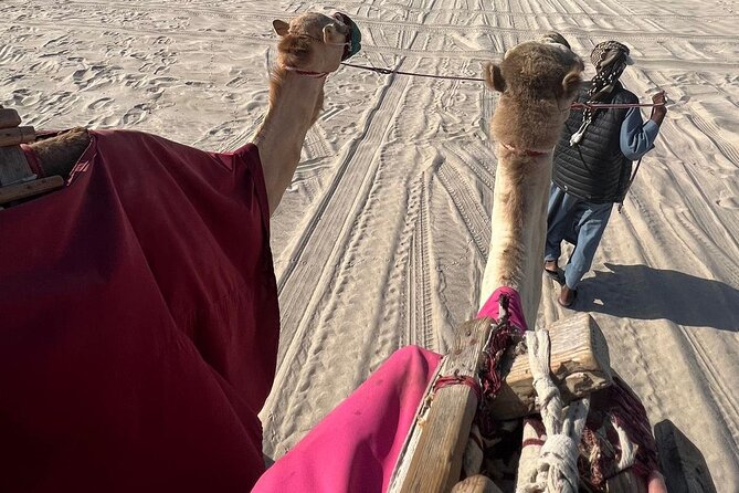 Doha Qatar ATV Quad Bike Buggy Dune Bashing and Camel Ride - Returning to Doha and resetting the tires