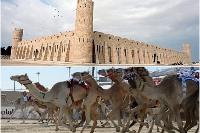 Doha, Qatar: Came Racing Track, Oryx & Sheikh Faisal Museum Tour. - World Cup stadiums in Al Rayyan