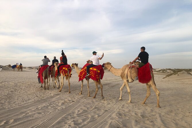Doha, Qatar: Doha Desert Safari & City - Full Day Private Tour. - Doha Corniche: a strong opening view
