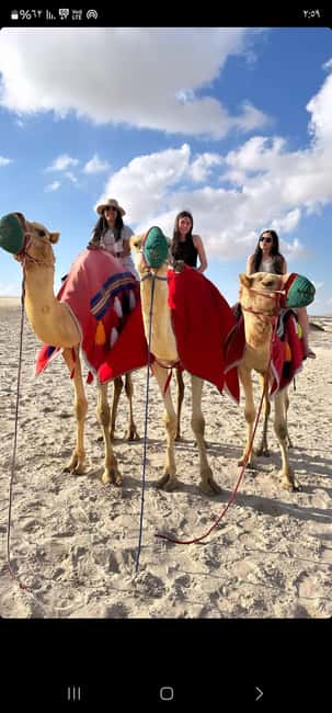 Doha Qatar : sealine adventure Camel Ride sandboard Sunset - Sandboarding from a high dune