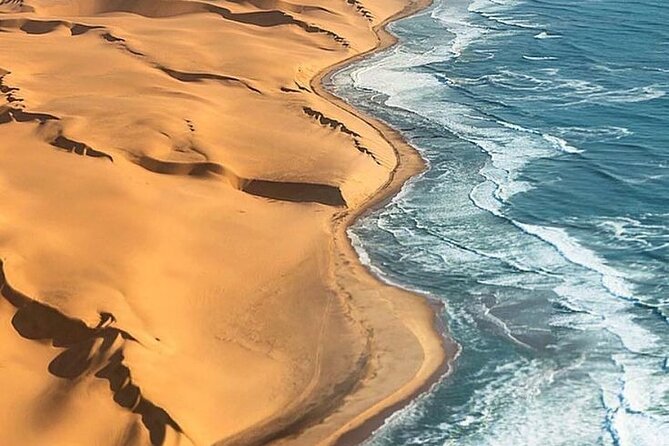 Doha Quad Bike, Dune Bashing, Camel Ride and Inland Sea Tour - Key points before you book