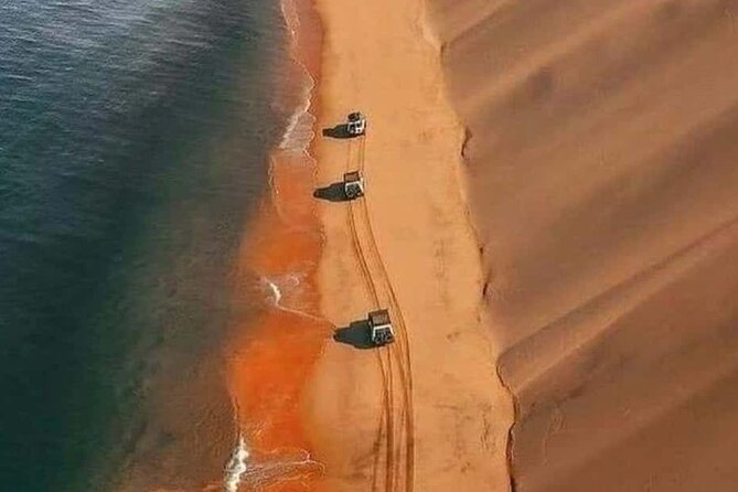 Doha Quad Bike, Dune Bashing, Camel Ride and Inland Sea Tour - Who should book this Doha desert safari?