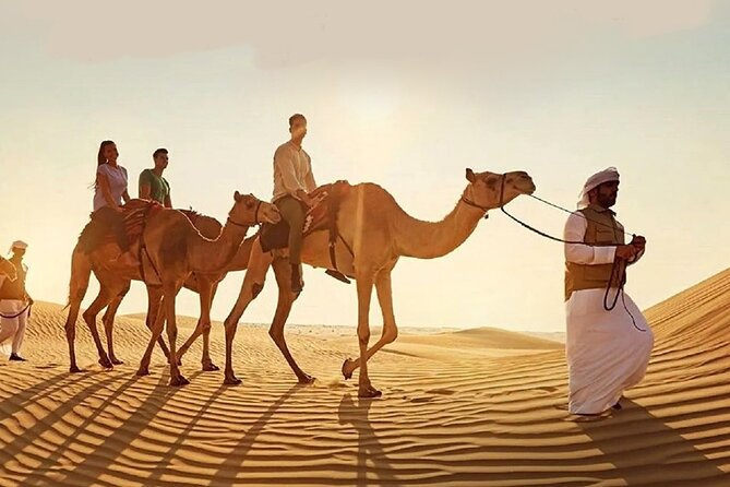 Doha Quad Bike, Dune Bashing, Camel Ride and Island Sea Tour - Why this four-hour desert trip works well