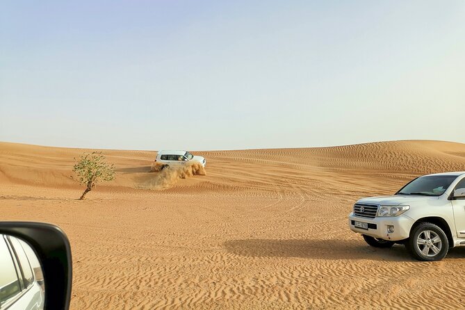 Doha Quad Bike, Dune Bashing, Camel Ride and Island Sea Tour - The Inland Sea is more than a quick photo stop