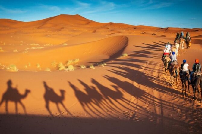 Doha Quad Bike, Dune Bashing, Camel Ride and Island Sea Tour - Quad biking on a controlled desert track