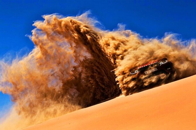 Doha Quad Bike, Dune Bashing, Camel Ride and Island Sea Tour - Which guide can shape your day