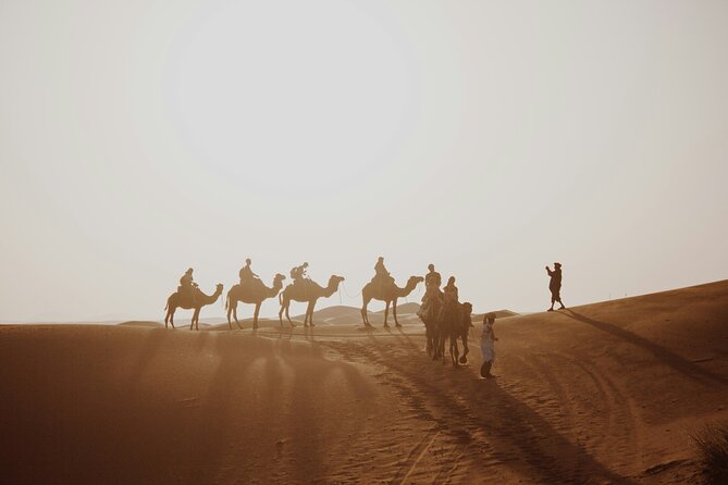 Doha Quad Bike, Dune Bashing, Camel Ride and Island Sea Tour - From Doha to Mesaieed, the desert begins
