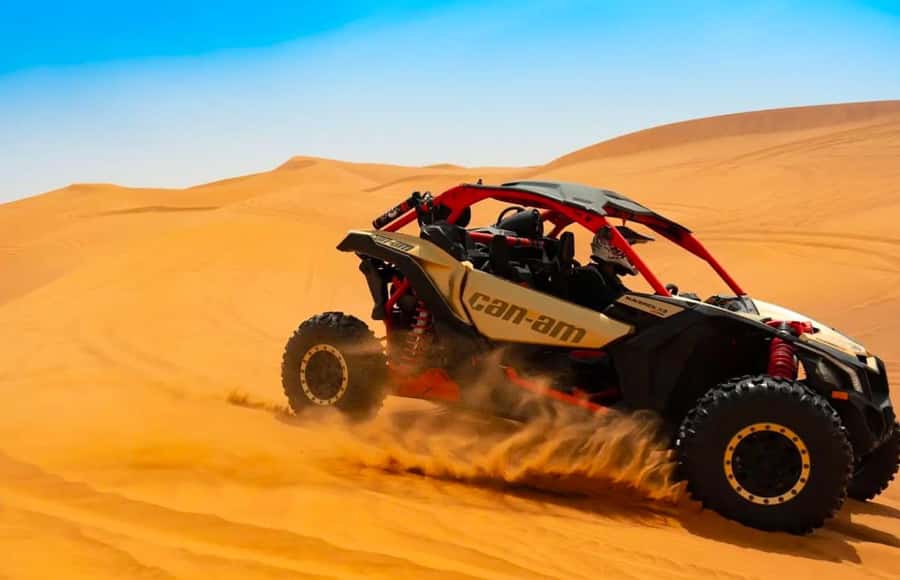 Doha: Quad Bike, Dune Bashing, Camel Ride & Inland Sea Tour - Guides, communication, and the human side