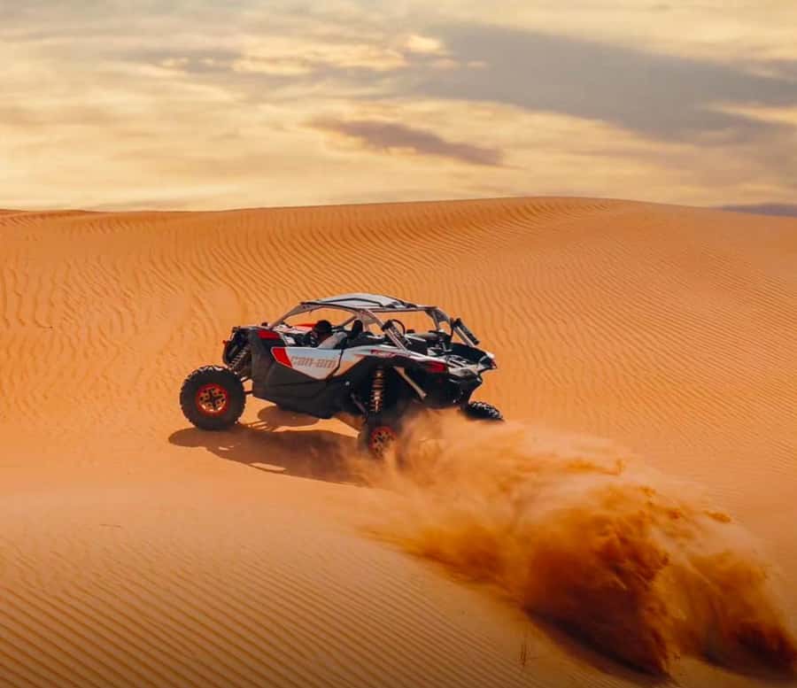Doha: Quad/Buggy, Desert Safari, Camel Ride, Sandboarding - The Inland Sea and its three meeting dunes