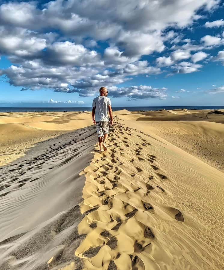Doha: Quad/Buggy, Desert Safari, Camel Ride, Sandboarding - Who will enjoy this desert safari most?