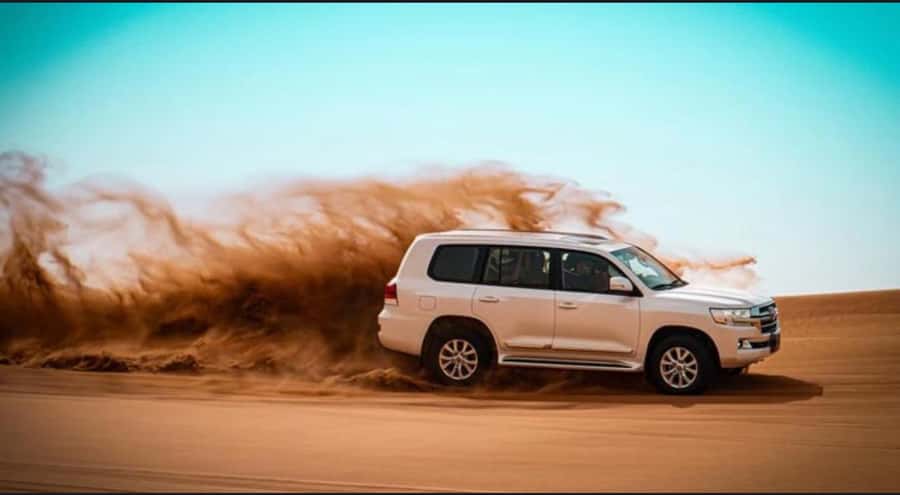 Doha: Relax Desert Safari, Camel Ride, Inland Sea, Swimming - Key points to know before booking