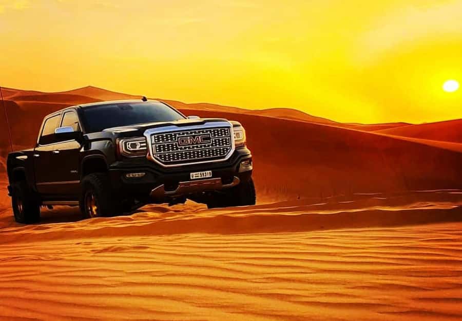 Doha: Relax Desert Safari, Camel Ride, Inland Sea, Swimming - Private or shared experience?