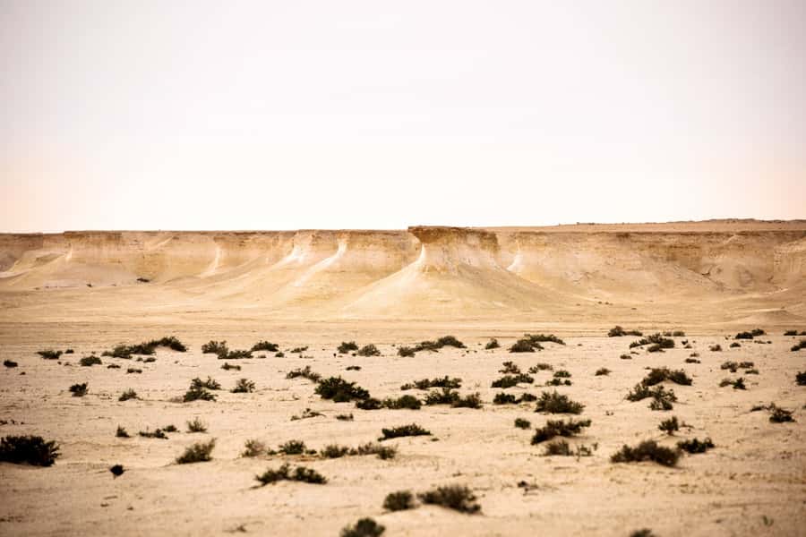 Doha: Richard Serra Sculpture,Mushroom Hill,Camel Race Track - Is $60 a Fair Price?