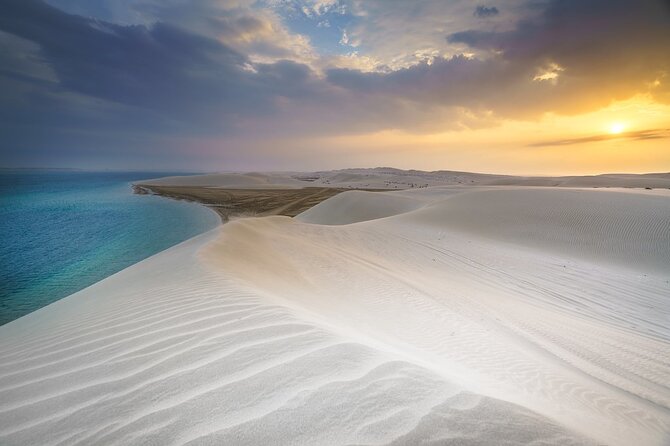 Doha Safari Adventures, Dune Bashing, Sand Buggy, Camel Ride Tour - From Doha to the open desert in 35 minutes