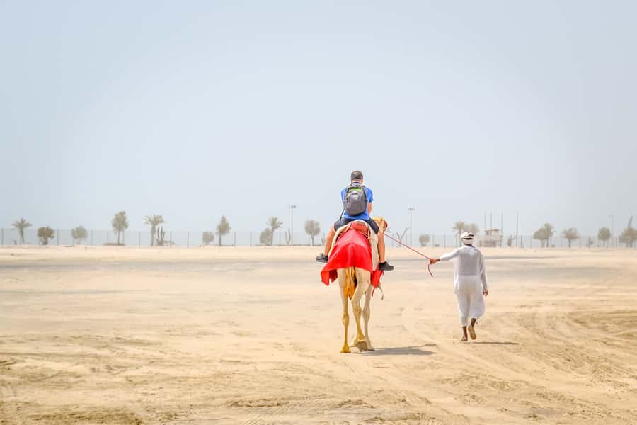 Doha: Safari, ATV, Camels, Sandboarding and Inland Sea Tour - Should you book the Doha desert safari?