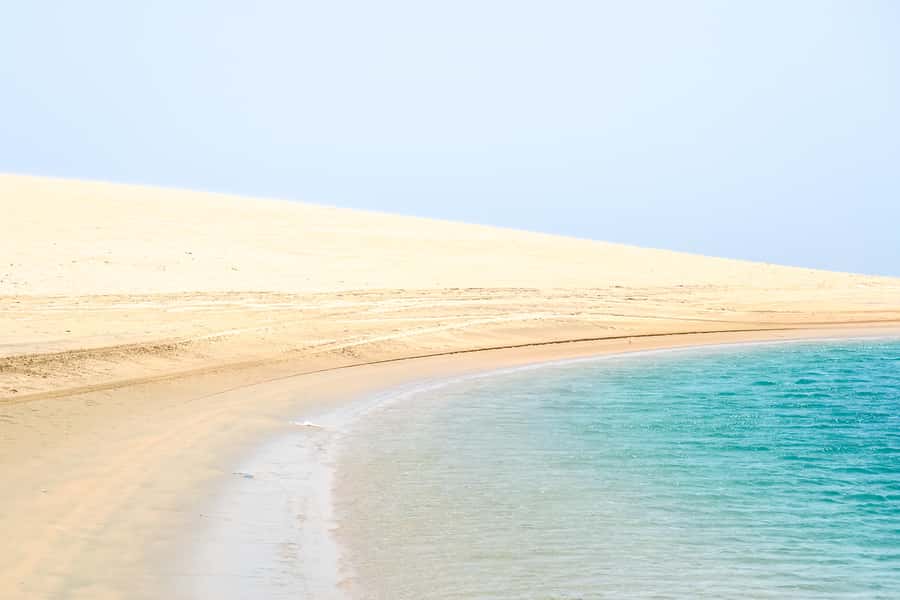 Doha: Safari, ATV, Camels, Sandboarding and Inland Sea Tour - Choosing the right guide and departure style