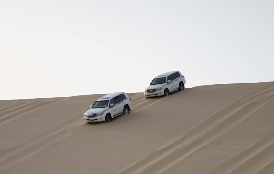Doha: Safari, ATV, Camels, Sandboarding and Inland Sea Tour - Who should book this experience?