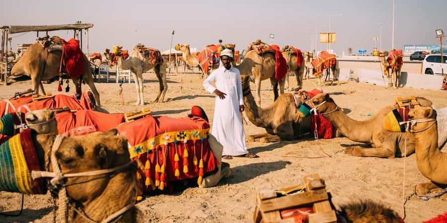 Doha: Safari, Camel Ride, Sandboarding and Inland Sea Tour - Sandboarding down silky slopes