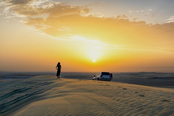 Doha: Safari, Dune bashing, Camel Ride, Sandboarding & Inland Sea - What the $65.70 price really covers