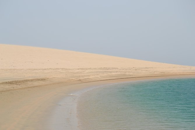 Doha: Safari, Dune bashing, Camel Ride, Sandboarding & Inland Sea - Timing, pickup, and group size