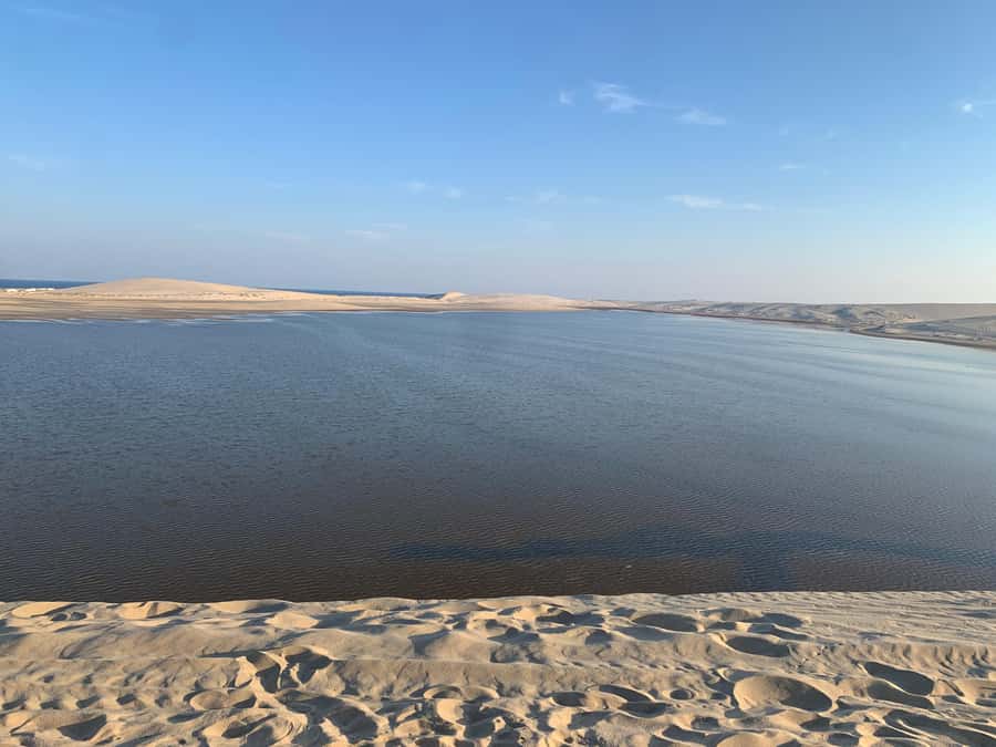 Doha: Safari | Inland Sea Tour | Camel Ride | Sandboarding - What makes this Qatar desert trip worth considering