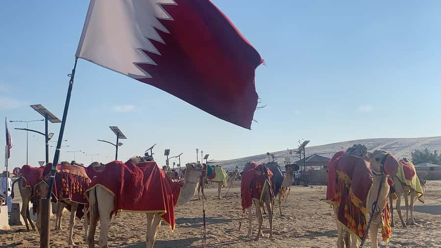 Doha: Safari | Inland Sea Tour | Camel Ride | Sandboarding - From Doha roads to the open desert